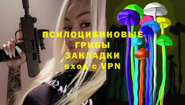 прущие грибы Аркадак