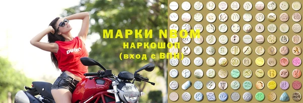 прущие грибы Аркадак