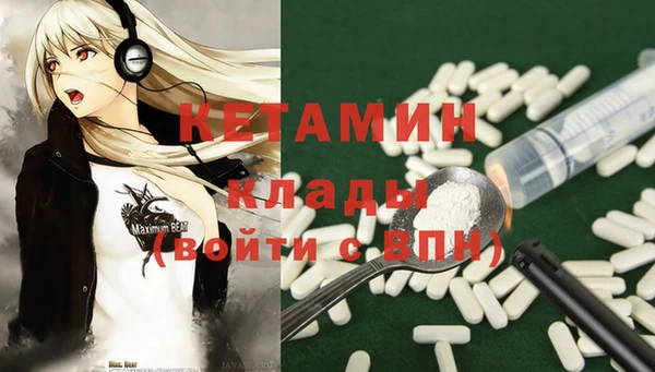 прущие грибы Аркадак