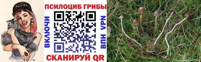Галлюциногенные грибы Magic Shrooms  Устюжна 